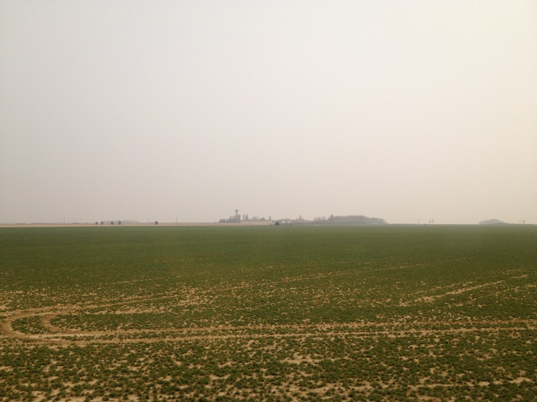 Travelling through the plains