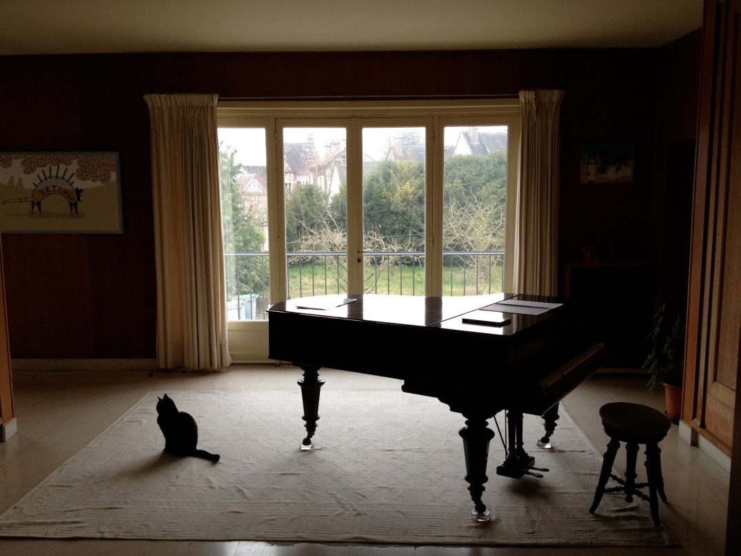 Frida, the cat and the grand piano at the residency