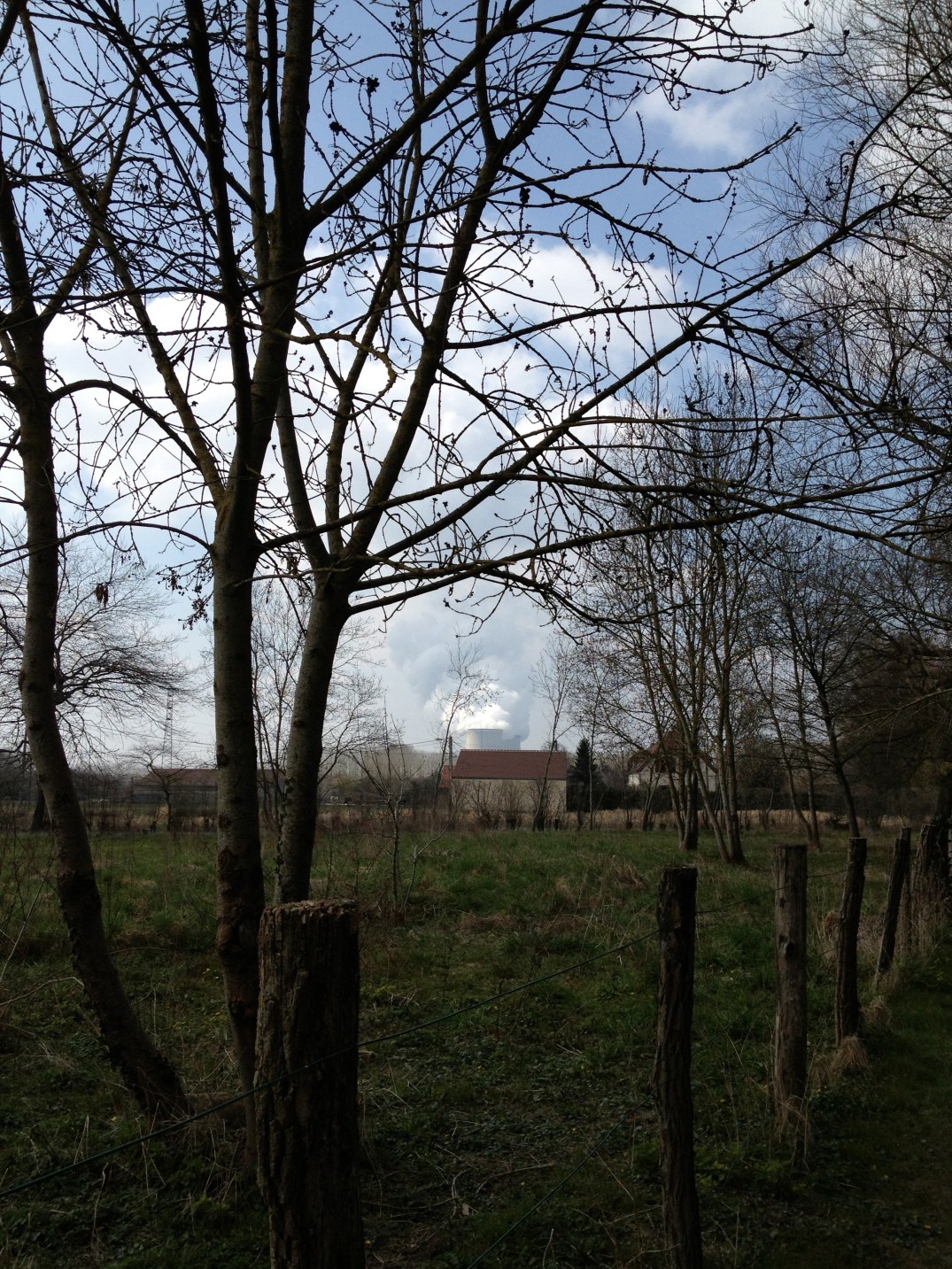 "How are clouds made, Gran'ma?"